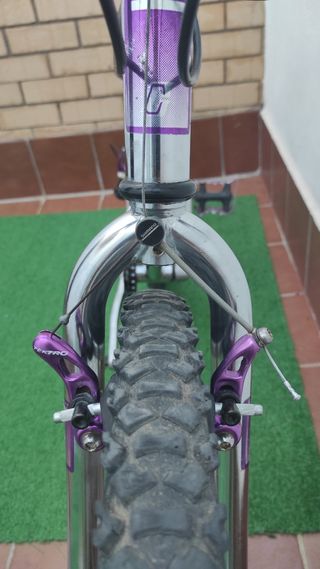 Bicicleta de montaña Camuant 26"


