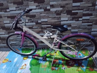Bicicleta mujer 