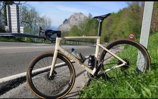 Bicicleta Carretera S-Works Tarmac SL7