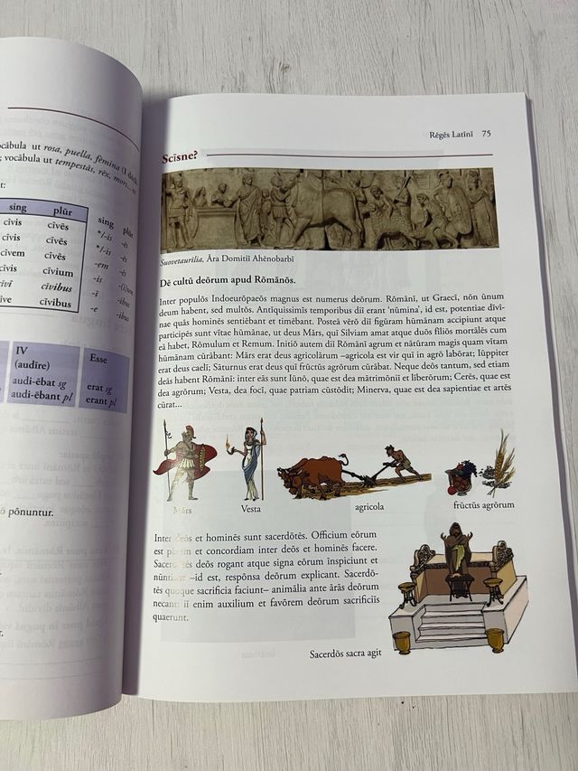 Via Latina: Libro de Latín