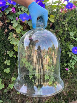 Campanas cristal decoración