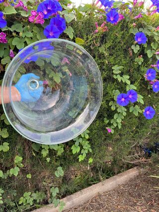 Campanas cristal decoración