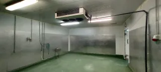 Venta directa Nave Industrial Cámaras Frigoríficas