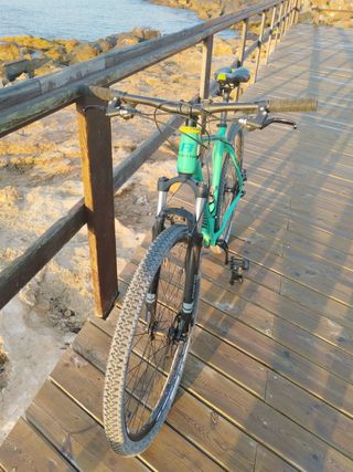 Bicicleta montaña 29"
