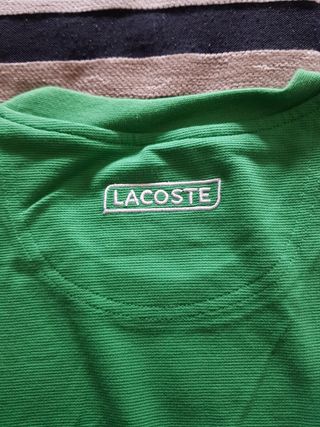 Camiseta Lacoste verde-blanca Talla 4 (M)