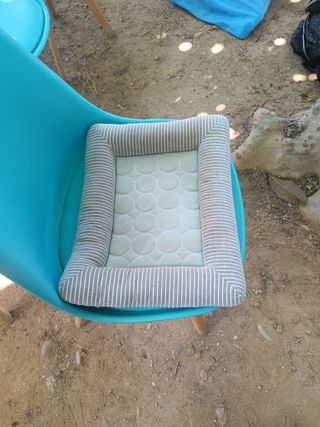 Cama gato