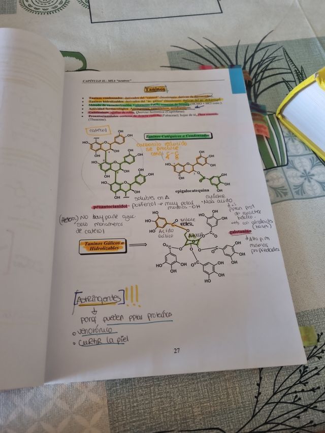 Farmacoquímica Natural  Diego Cortes
