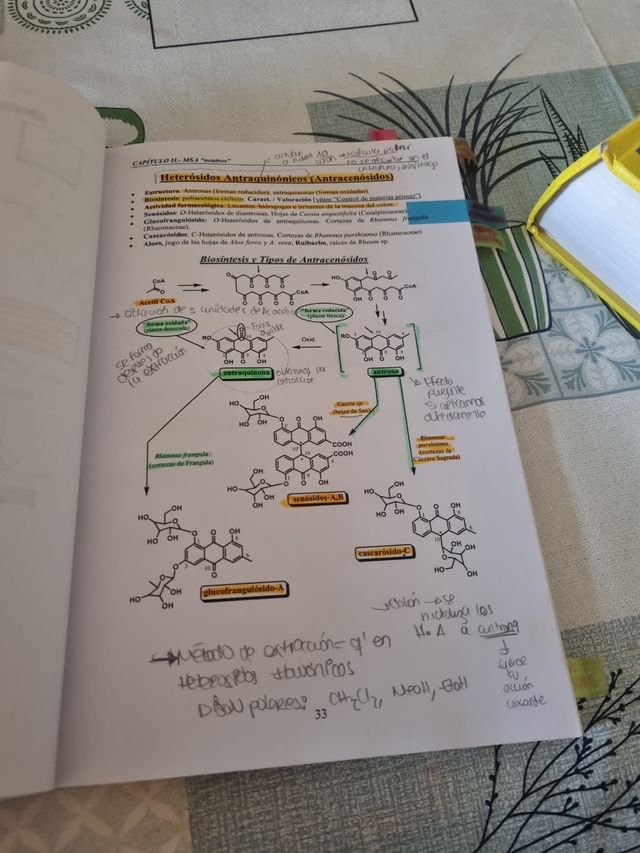 Farmacoquímica Natural  Diego Cortes
