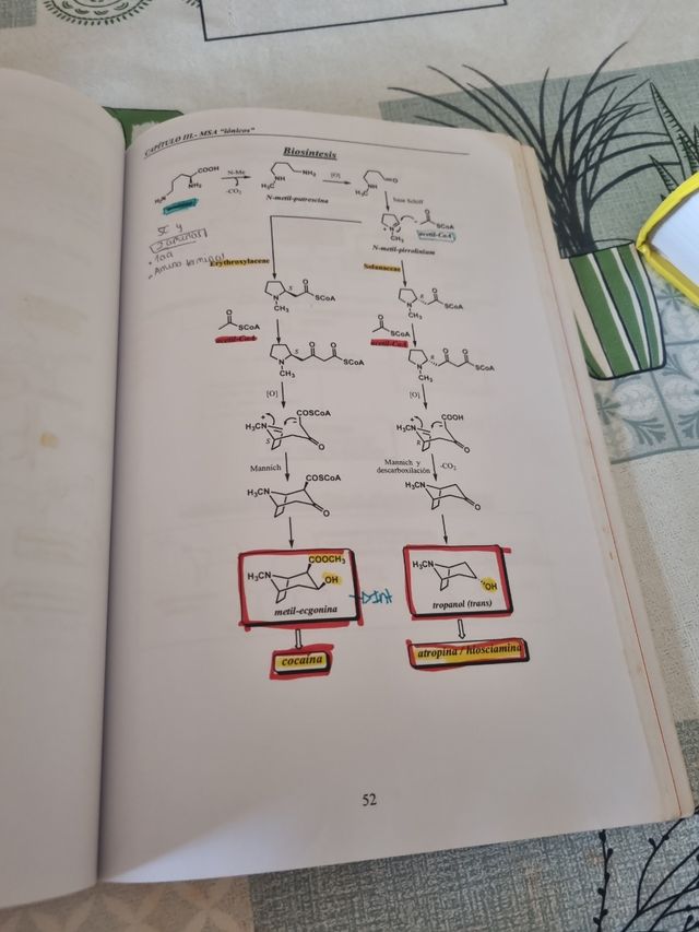Farmacoquímica Natural  Diego Cortes
