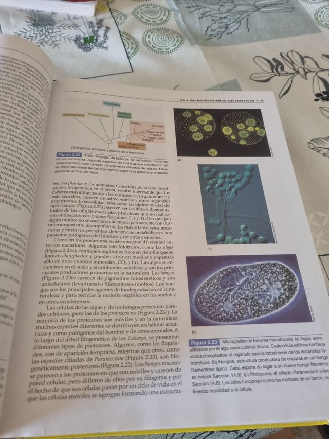 Brock, Biologia de Los Microorganismos, 10 edic...