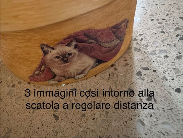 Scatolina legno decoupage gatto