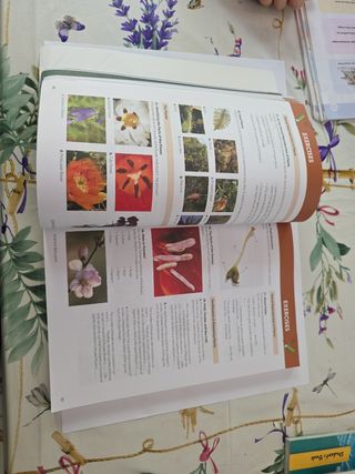 Biology and Geology 1 ESO