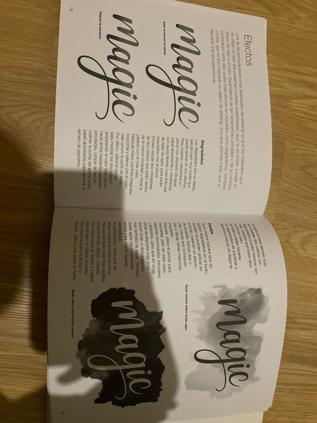 Lettering. Caligrafía y rotulación