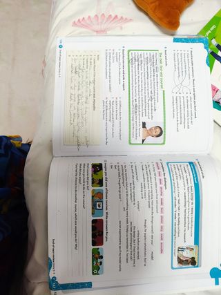 Libros de texto de 6 primaria