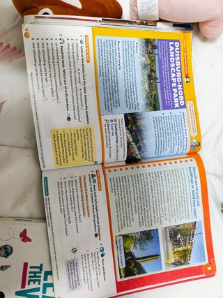 Libros de texto de 6 primaria