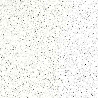 Placas techo Ceiling 595x595mm