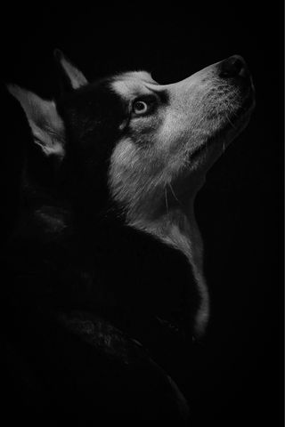 Fotógrafo y editor de vídeo