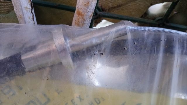 Cavo frizione Iveco Fiat Daily