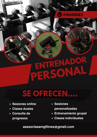 Entrenador Personal - Sesiones Online