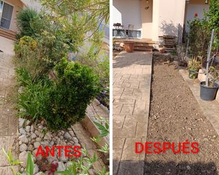 Jardinería - Servicio de limpieza