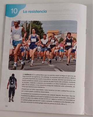 EDUCACIÓN FÍSICA 6 PRIMARIA