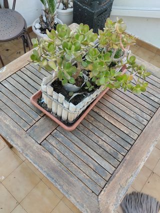 Conjunto mesa y sillas jardín madera - marrón