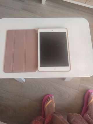 iPad mini - Rosa Gold y Plata