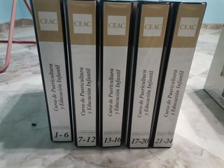 Curso completo de puericultura y educación infanti