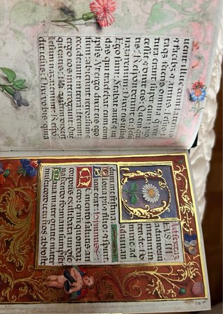 LIBRO DE HORAS Del obispo Ms. 88 Mor Gades