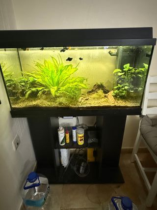 Pecera Acuario con mueble