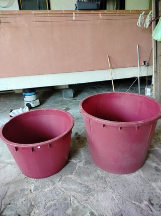 Tini plastica uva 230-350 litri