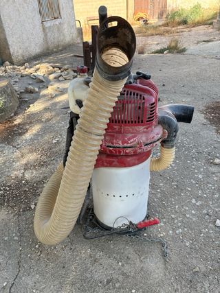 ASPIRADOR DE FRUTOS CIFARELLI V1200S