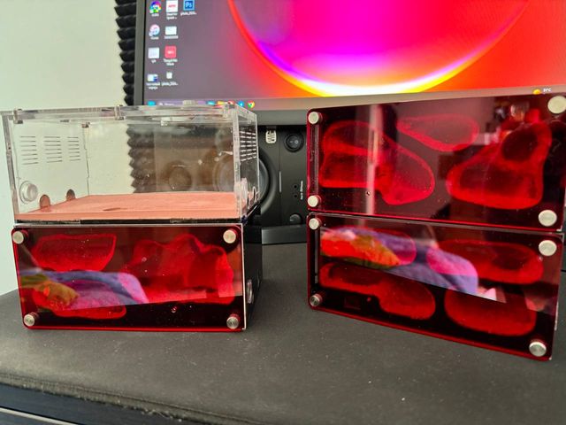 Formicaio Modulare Premium