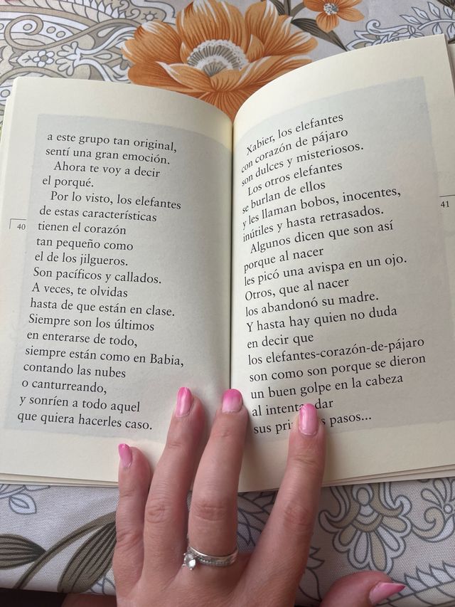 Elefante corazón de pájaro (Sopa de Libros / So...