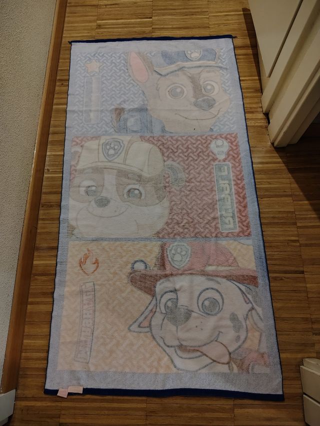 Due asciugamani  Paw Patrol - Ryder, Marshall, R