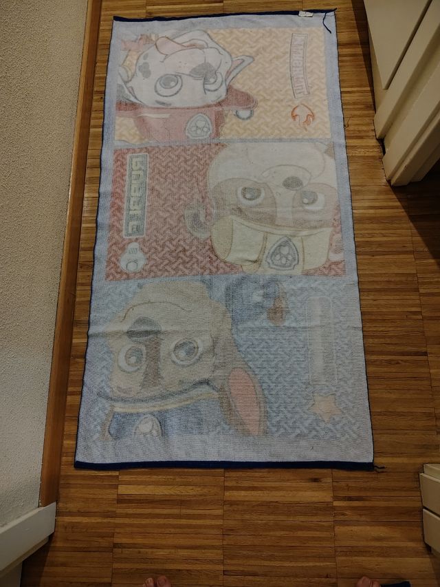 Due asciugamani  Paw Patrol - Ryder, Marshall, R