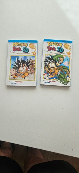 Bola de drac sd