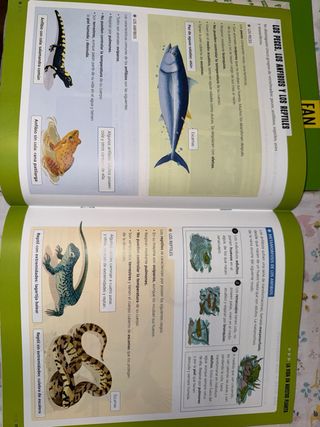 Proyecto: FanFest. Ciencias de la Naturaleza 3 ...