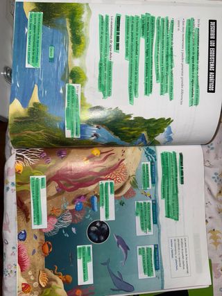 Proyecto: FanFest. Ciencias de la Naturaleza 3 ...