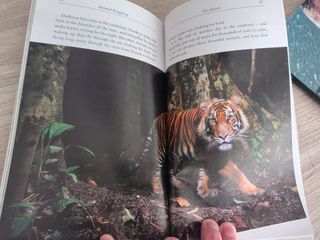 Animal Kingdom Rachel Bladon