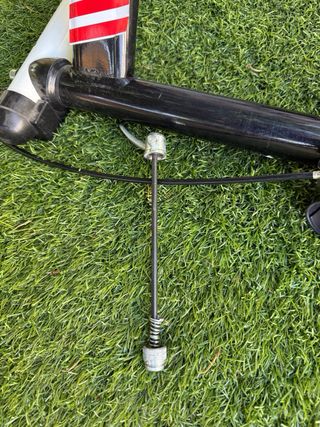 Rodillo entrenamiento Elite Force