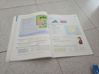 Matemáticas, 6 Primaria