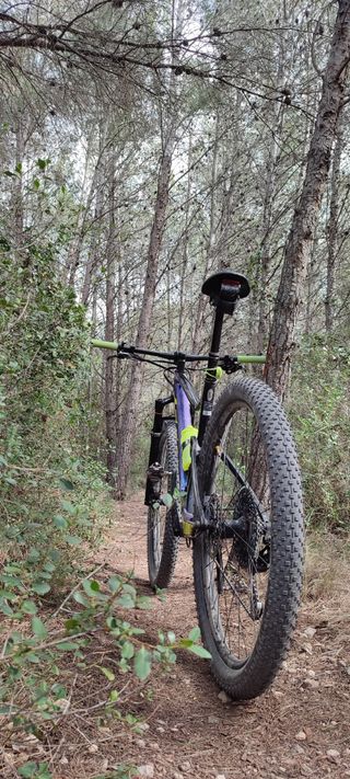 Scott Spark RC Team Issue MTB