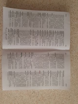 Diccionario Esencial Latino. Latino-Español/ Es...