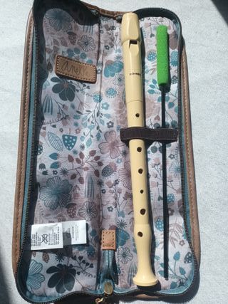 Flauta Hohner + funda Anekke