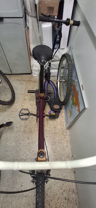 BMX Monty morada - Cambio posible