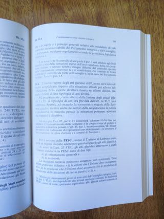 Diritto dell'unione europea, L. Daniele