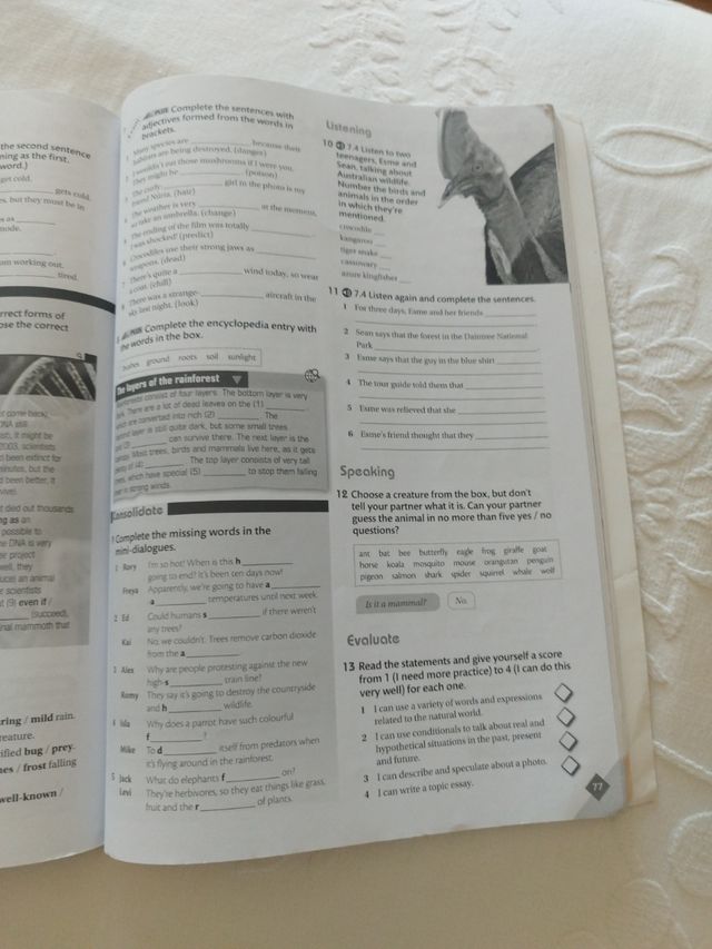 Reach Up 1. Workbook