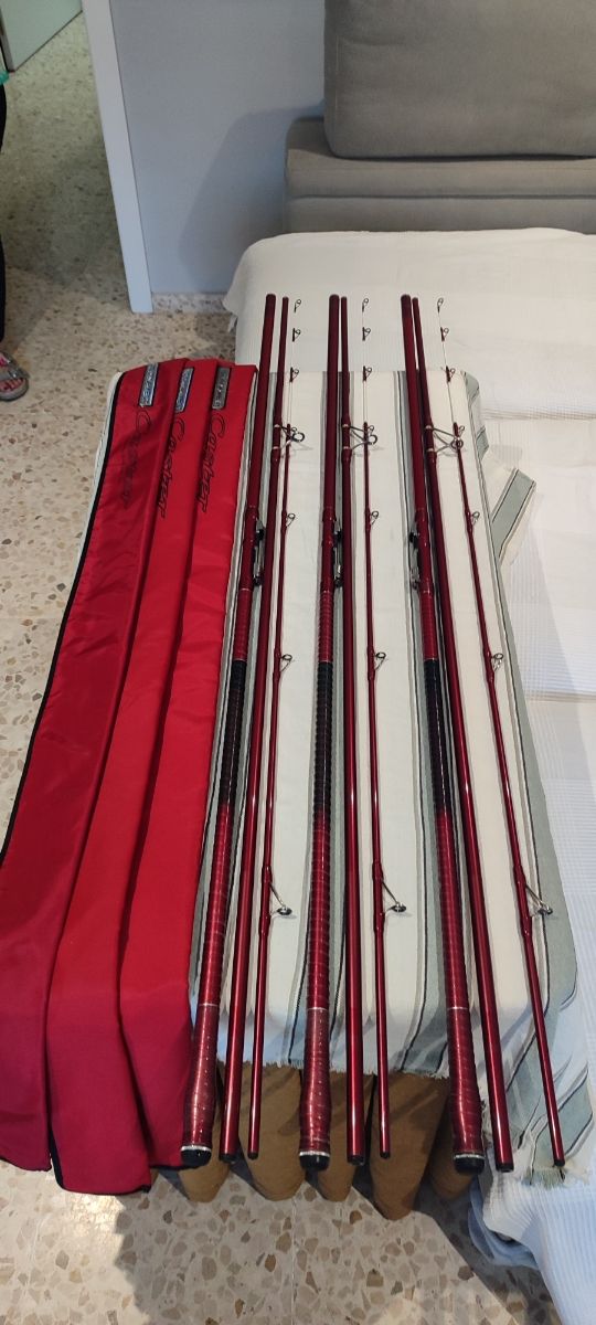 Cañas DAIWA TOURNAMENT 33 modelo 1