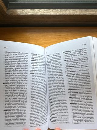 Diccionario Esencial Latino. Latino-Español/ Es...